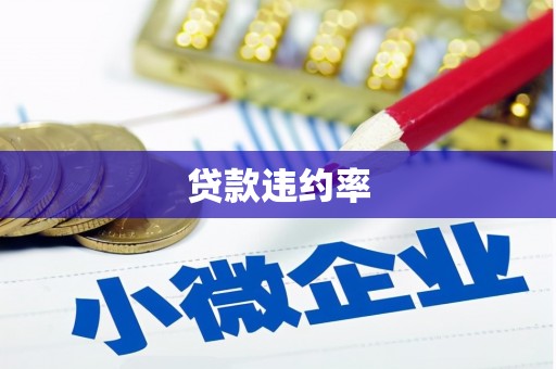 光泽贷款违约率