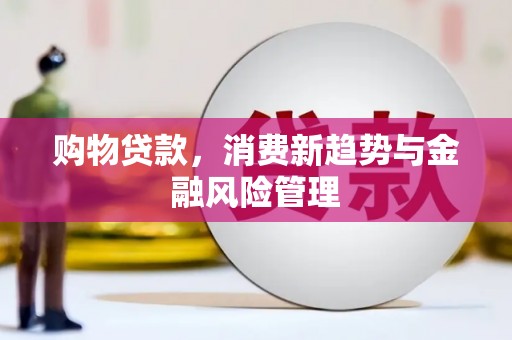 利通购物贷款，消费新趋势与金融风险管理