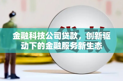 湖内金融科技公司贷款，创新驱动下的金融服务新生态