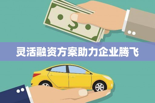 慈利灵活融资方案助力企业腾飞