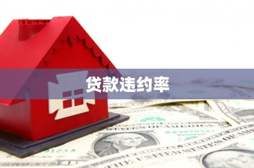 滁州贷款违约率