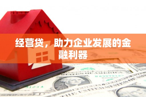 水林经营贷，助力企业发展的金融利器