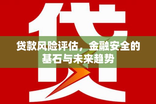 港南贷款风险评估，金融安全的基石与未来趋势