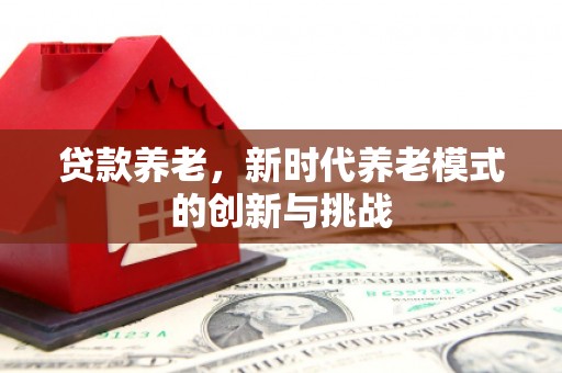 昭平贷款养老，新时代养老模式的创新与挑战