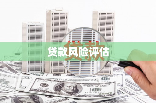 花地玛堂区贷款风险评估