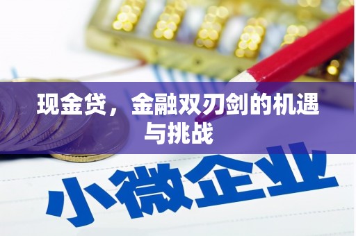 成县现金贷，金融双刃剑的机遇与挑战