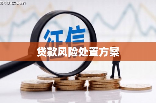 睢宁贷款风险处置方案