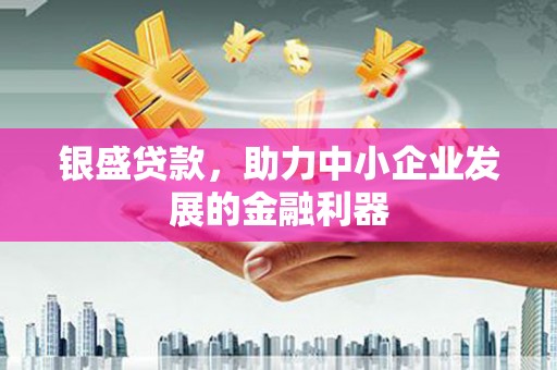 通海银盛贷款，助力中小企业发展的金融利器