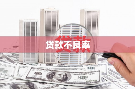 巴中贷款不良率