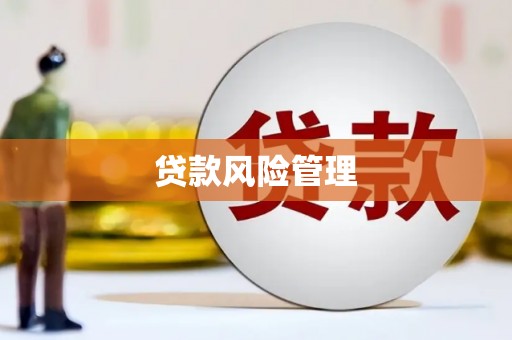 吉木萨尔贷款风险管理