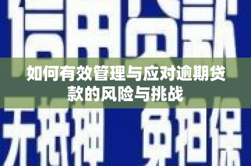 惠济如何有效管理与应对逾期贷款的风险与挑战