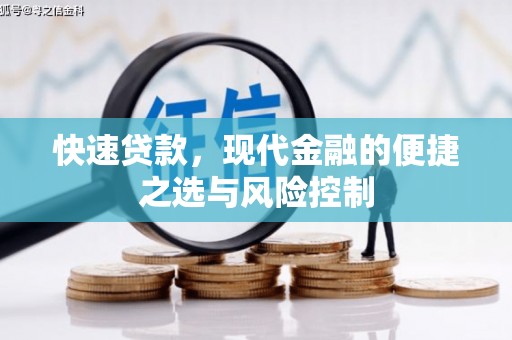 泰顺快速贷款，现代金融的便捷之选与风险控制