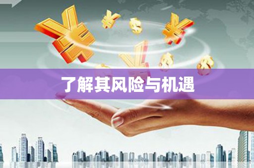 禅城了解其风险与机遇
