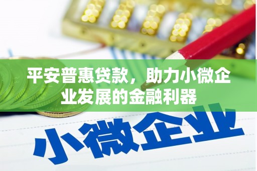 民和平安普惠贷款，助力小微企业发展的金融利器