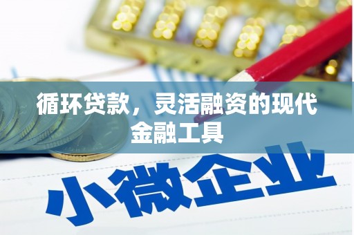 龙岗循环贷款，灵活融资的现代金融工具