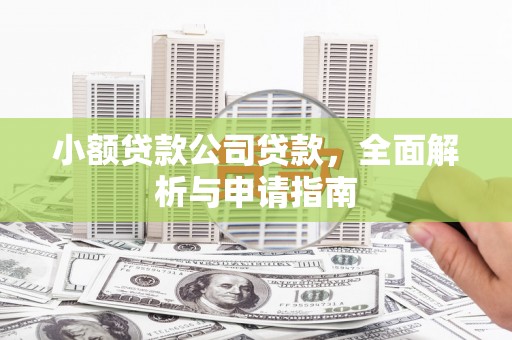 陕西小额贷款公司贷款，全面解析与申请指南