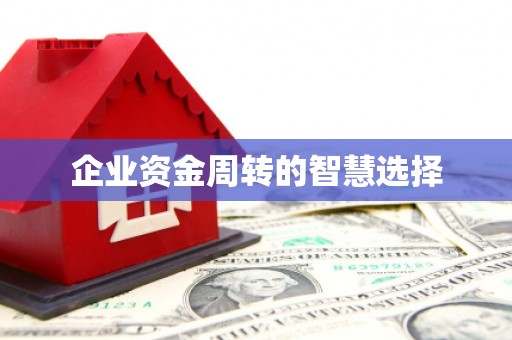 汉阳企业资金周转的智慧选择