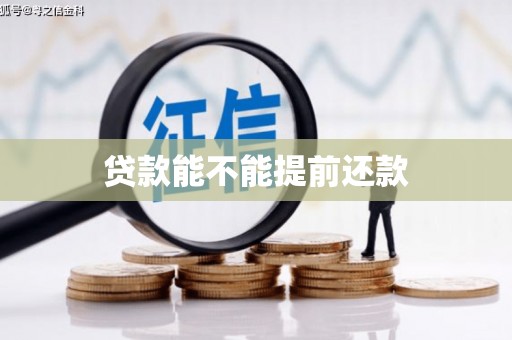镇安贷款能不能提前还款