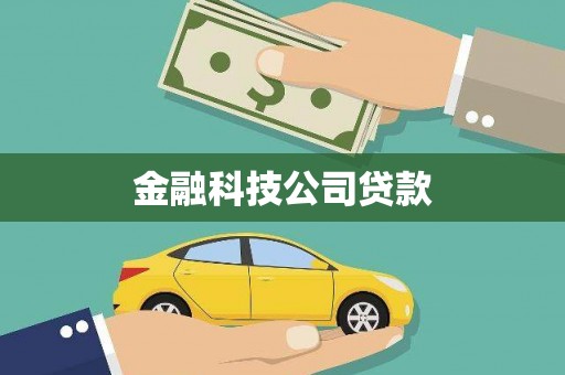 舞阳金融科技公司贷款