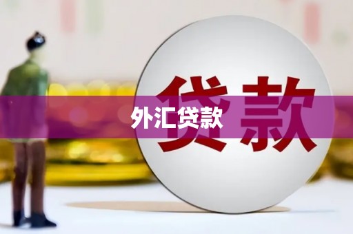 兴隆台外汇贷款