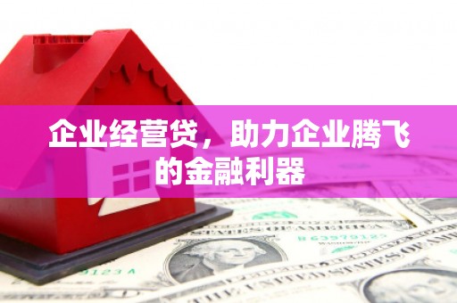 三沙企业经营贷，助力企业腾飞的金融利器