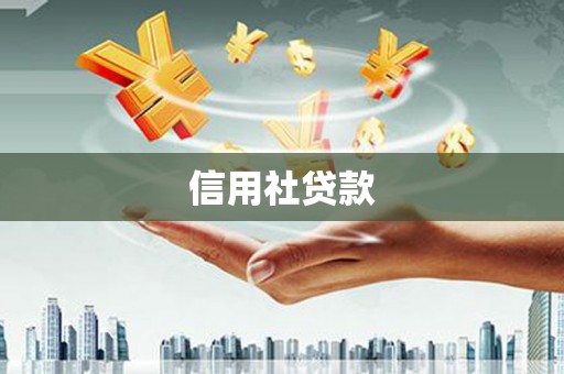 水林信用社贷款