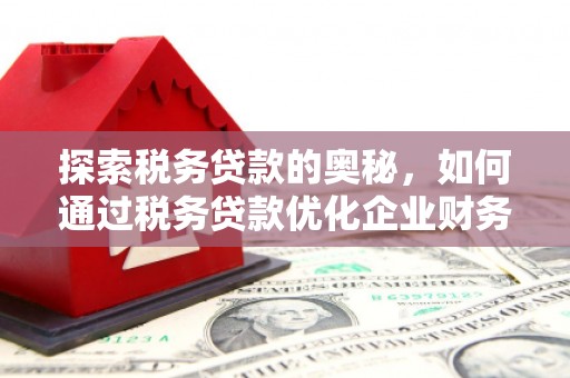 扶绥探索税务贷款的奥秘，如何通过税务贷款优化企业财务