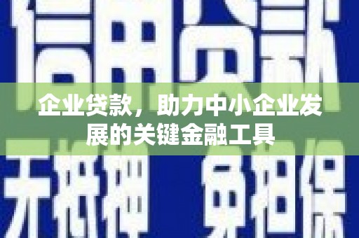 临潭企业贷款，助力中小企业发展的关键金融工具