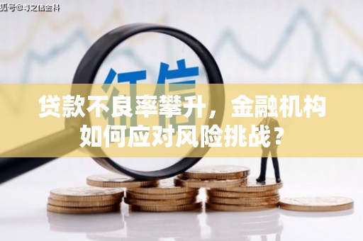 西吉贷款不良率攀升，金融机构如何应对风险挑战？
