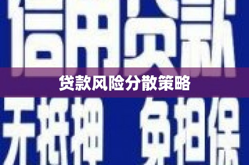 阳原贷款风险分散策略