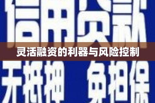 果洛灵活融资的利器与风险控制