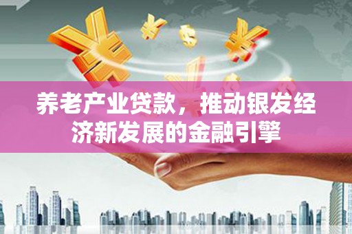 望谟养老产业贷款，推动银发经济新发展的金融引擎