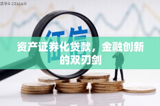 芦淞资产证券化贷款，金融创新的双刃剑