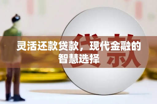 阳春灵活还款贷款，现代金融的智慧选择
