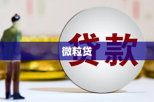 怀集微粒贷