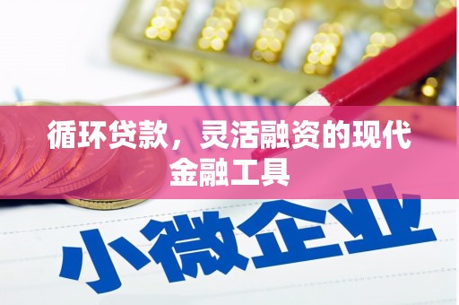 疏附循环贷款，灵活融资的现代金融工具