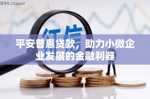 安定平安普惠贷款，助力小微企业发展的金融利器