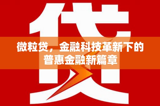 荔湾微粒贷，金融科技革新下的普惠金融新篇章