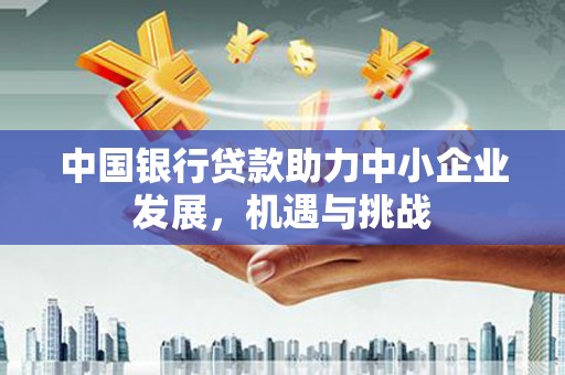 漳州中国银行贷款助力中小企业发展，机遇与挑战