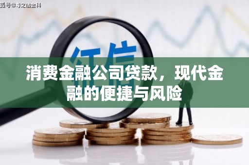 礼县消费金融公司贷款，现代金融的便捷与风险