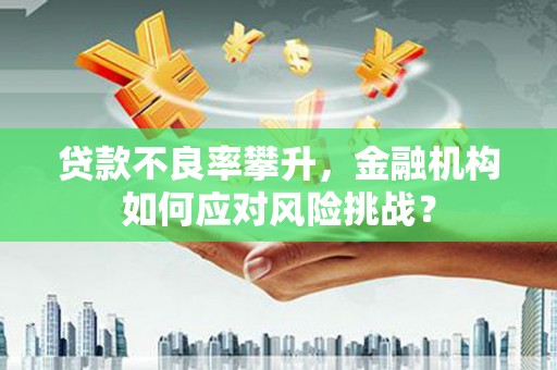 肥乡贷款不良率攀升，金融机构如何应对风险挑战？