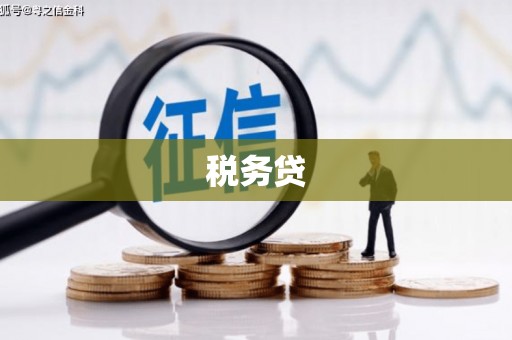 临潭税务贷