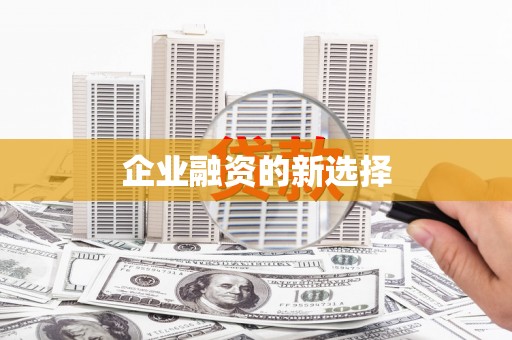 阜沙企业融资的新选择