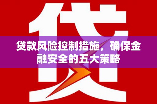 汉阳贷款风险控制措施，确保金融安全的五大策略