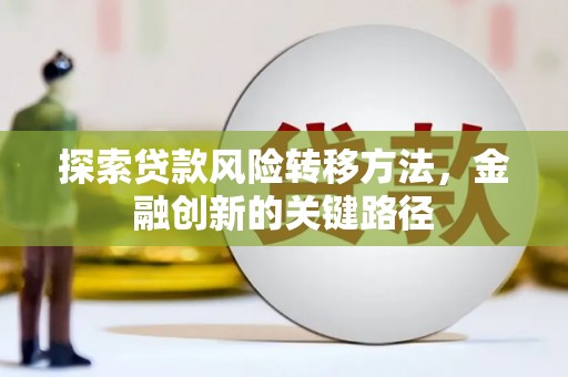 九原探索贷款风险转移方法，金融创新的关键路径