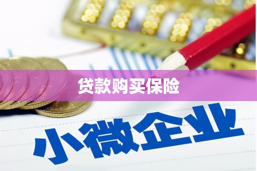 临渭贷款购买保险