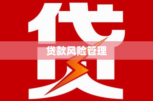 定陶贷款风险管理