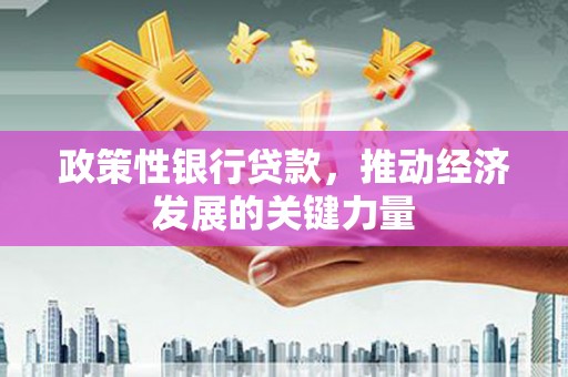 海盐政策性银行贷款，推动经济发展的关键力量