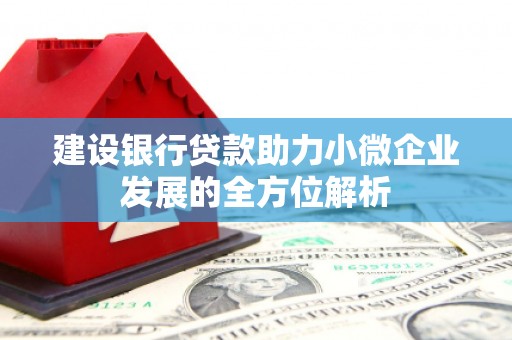 雷山建设银行贷款助力小微企业发展的全方位解析