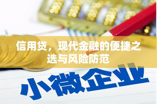新市信用贷，现代金融的便捷之选与风险防范
